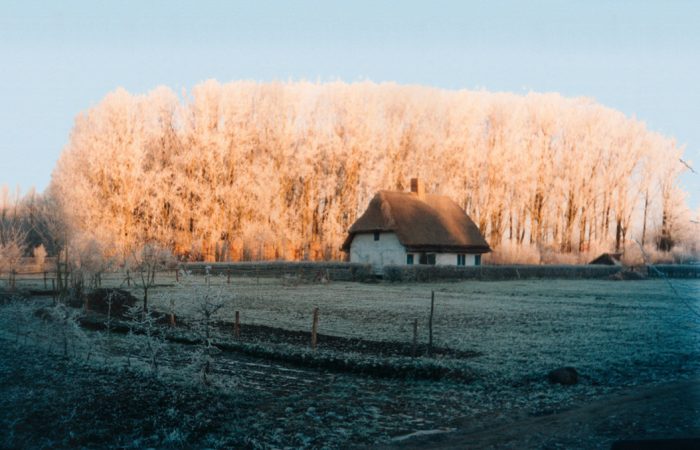 photo maison millam arbre